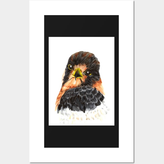 Glamour Falcon Wall Art by RavensLanding